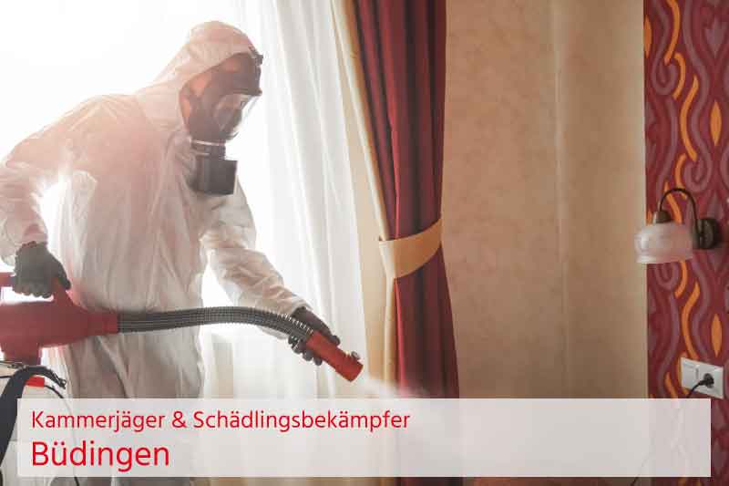 Kammerjäger und Schädlingsbekämpfung Büdingen