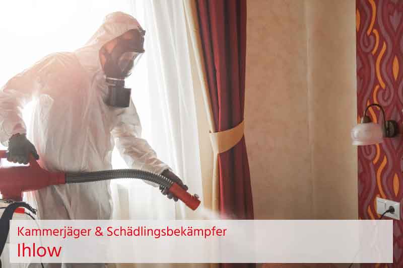 Kammerjäger und Schädlingsbekämpfung Ihlow