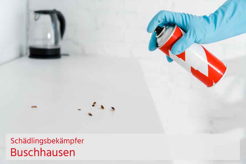 Schädlingsbekämpfer Buschhausen